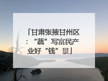 甘肃张掖甘州区：“蔬”写富民产业好“钱”景